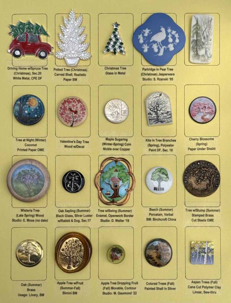 NBS 2026 Award # 141